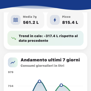 App HMFluxus schermata statistiche e andamento