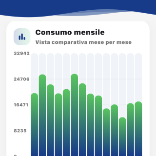 App HMFluxus schermata consumi mensili