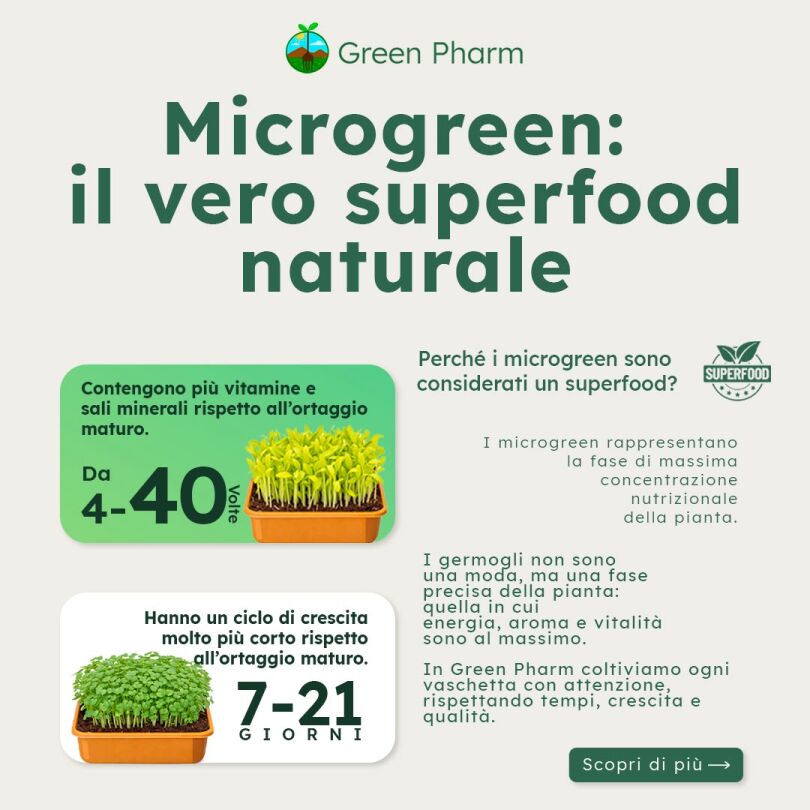 microgreen1.jpeg